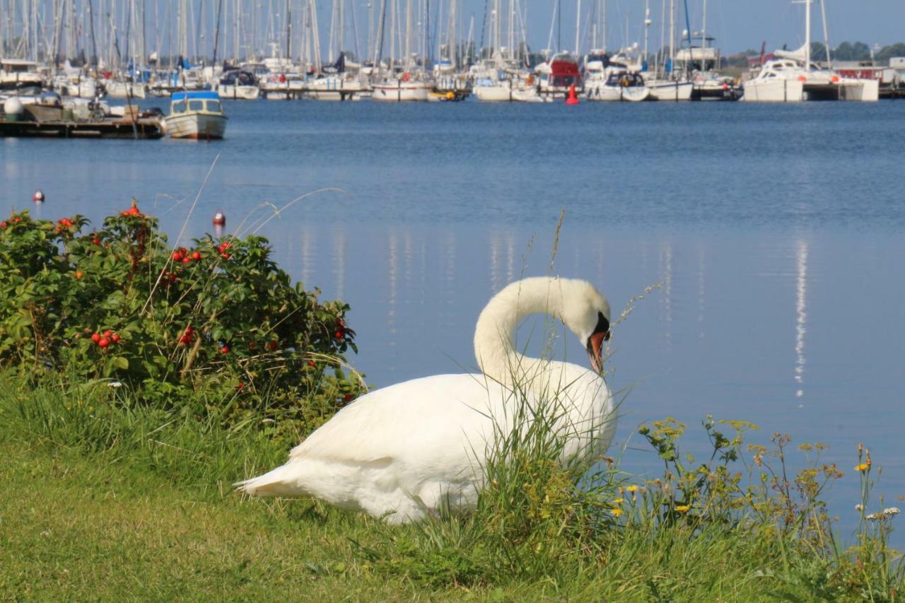 2Zi-Ferienwohnung am Südstrand mit eigenem Parkplatz perfekt für Familie Burgtiefe auf Fehmarn Exterior foto